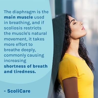 A visual representation of the quote from the text starting with “The diaphragm is the main muscle used“