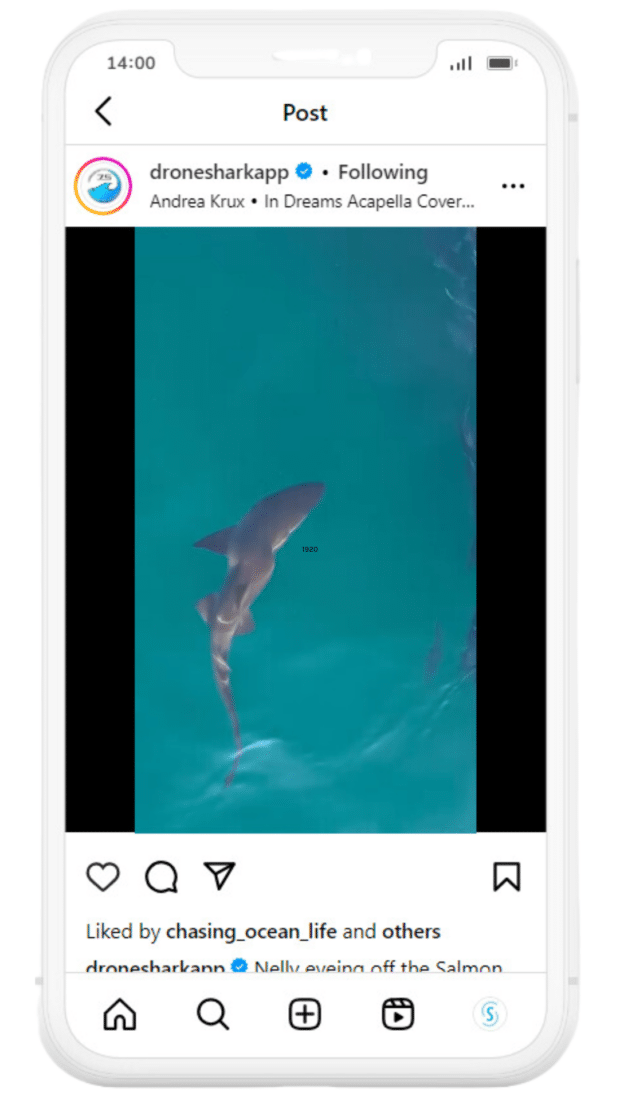 dronesharkapp