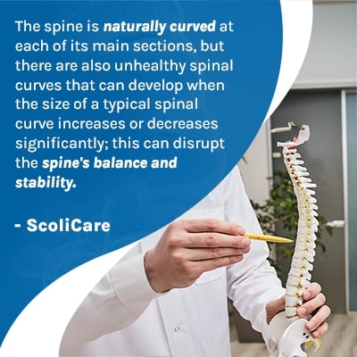 A visual representation of the quote from the text starting with “The spine is naturally curved“