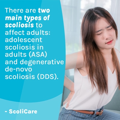 A visual representation of the quote from the text starting with “ There are two main types of “