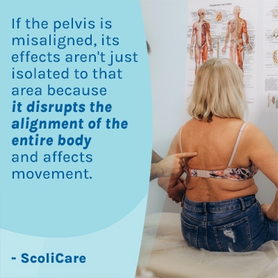 A visual representation of the quote from the text starting with “ the pelvis has to support “