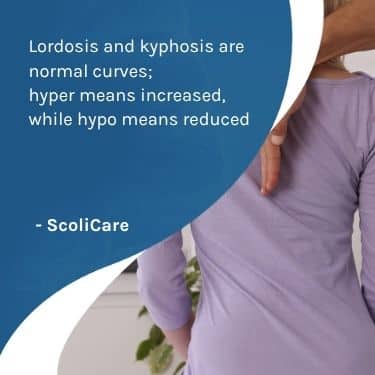A visual representation of the quote from the text starting with “The terms lordosis“