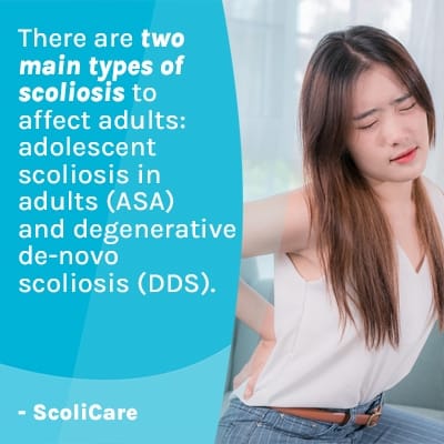 A visual representation of the quote from the text starting with “ There are two main types of “