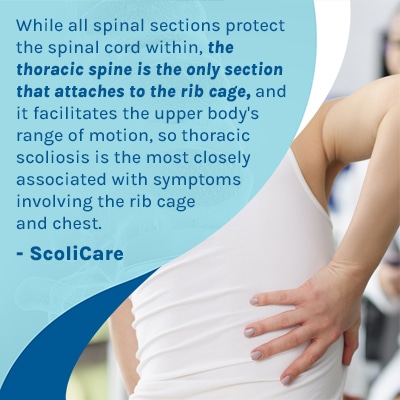 A visual representation of the quote from the text starting with “ While all spinal sections protect the “