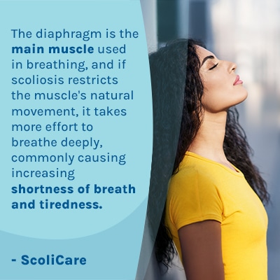 A visual representation of the quote from the text starting with “The diaphragm is the main muscle used“