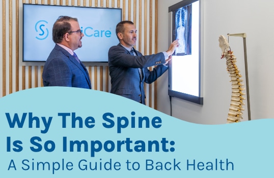 Why the Spine Is So Important: A Simple Guide to Back Health