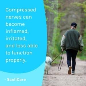 A visual representation of the quote from the text starting with “compressed nerves can become"